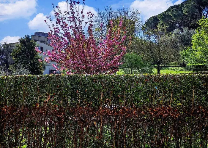 Il Bacio Del Sole